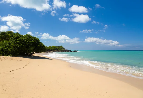 Bahía feliz frente a la costa de San Martín Caribe — Foto de Stock