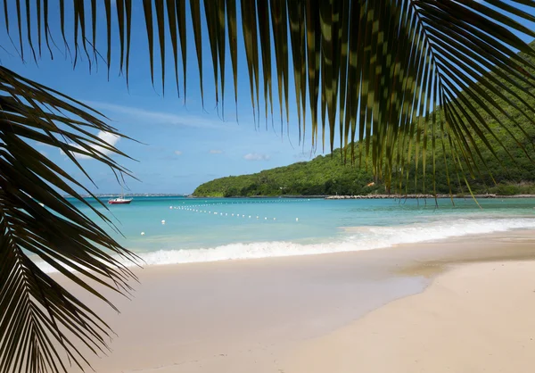 Glorious beach at Anse Marcel on St Martin — Stock Photo, Image