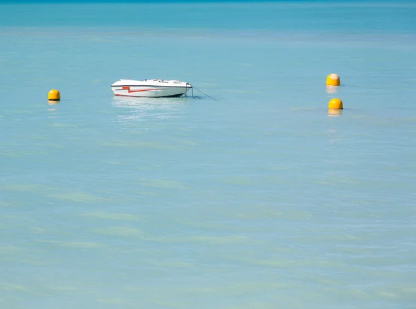 Lancha rápida en el mar tranquilo frente a Grand Case St Martin —  Fotos de Stock