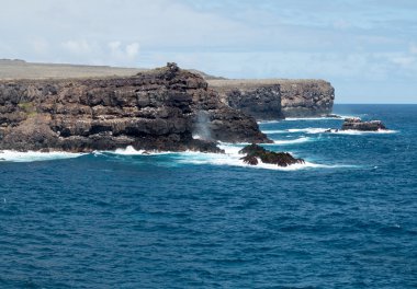 galapagos volkanik kaya hatları kıyılarında