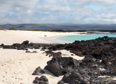 Volcanic rock lines beach in Galapagos clipart