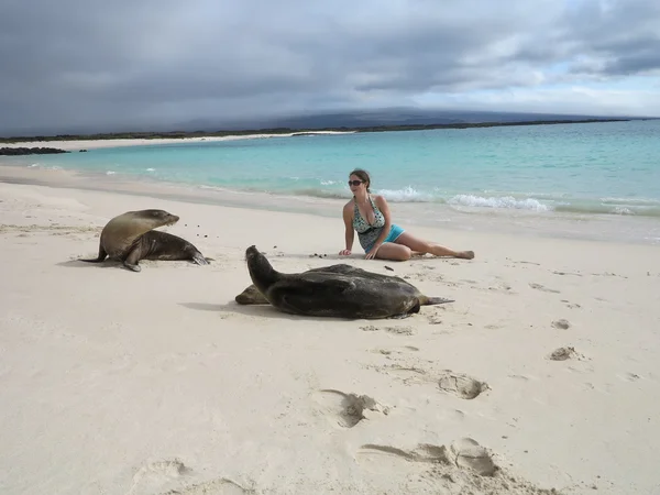 Turista mujer pone entre focas en la playa — Foto de Stock