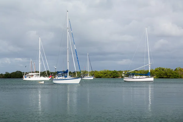 Yachts moored in no name harbor florida — Stock Photo, Image