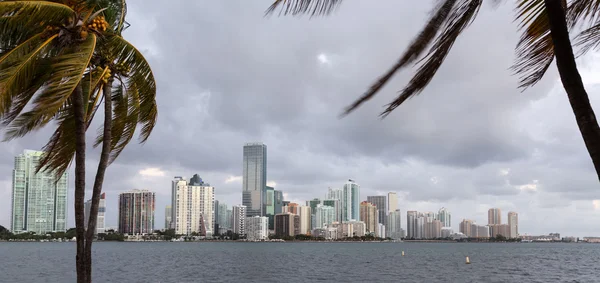 Vista da madrugada de Miami Skyline — Fotografia de Stock