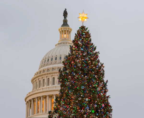 Christmas tree in front of Capitol Washington DC — Stock Photo, Image