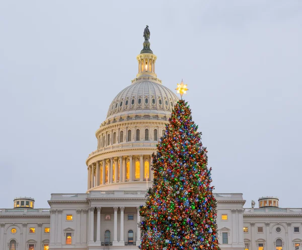 Árvore de Natal em frente ao Capitólio Washington DC — Fotografia de Stock