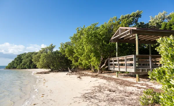 Florida Keys Anne — Stockfoto