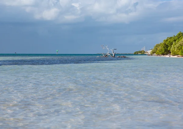 Ayşe'nin Beach Florida Keys — Stok fotoğraf