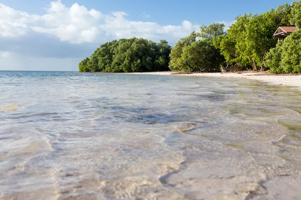 Ayşe'nin Beach Florida Keys — Stok fotoğraf