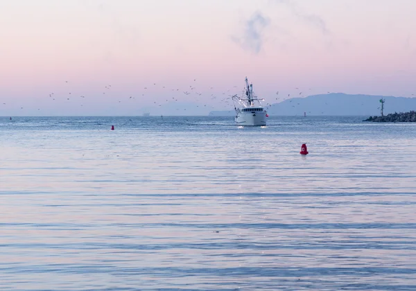 Fishing boat entering Ventura harbor dawn — Stock Photo, Image