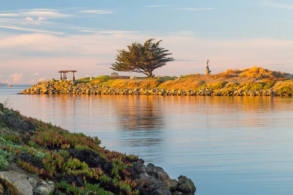 Meermin standbeeld ingang Ventura haven — Stockfoto