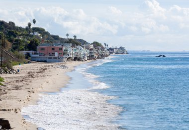 okyanus malibu California ev sahipliği yapmaktadır.