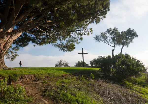 Panorama ventura z grant parku — Stock fotografie