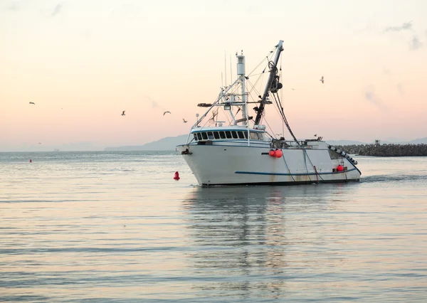 Barco de pesca que entra en Ventura puerto amanecer — Foto de Stock