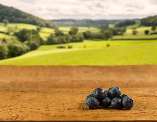 Pile de bleuets sur table en bois dans le champ — Photo