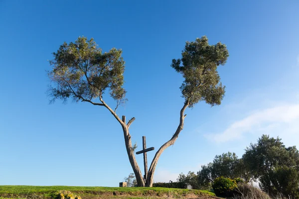 Serra Cross in Ventura California between trees — Stock Photo, Image