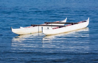 Deniz waikiki hawaii yüzen Kano