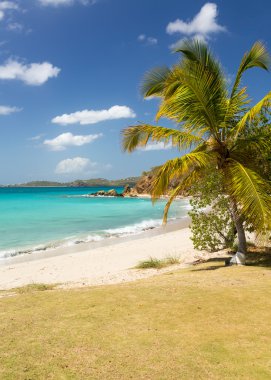 plaj sahnesi st thomas USVI