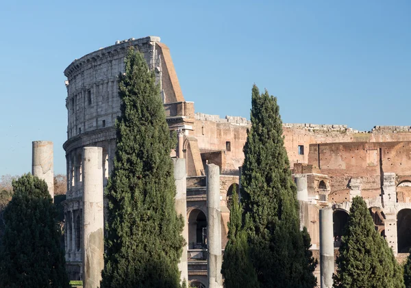 Detalhes do Coliseu em Roma — Fotografia de Stock