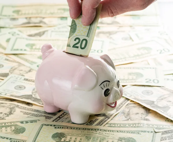 Hand placing 20 dollar bill into piggy bank — Stock Photo, Image