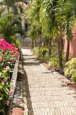 ünlü 99 adım charlotte amalie