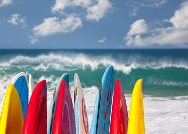 Surfboards at Lumahai beach Kauai clipart