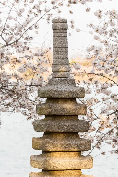 Fiore di ciliegio e monumento giapponese — Foto Stock