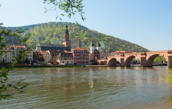 Vieux pont dans la ville de Heidelberg Allemagne — Photo