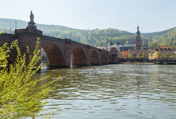 Vecchio ponte nella città di Heidelberg Germania — Foto Stock