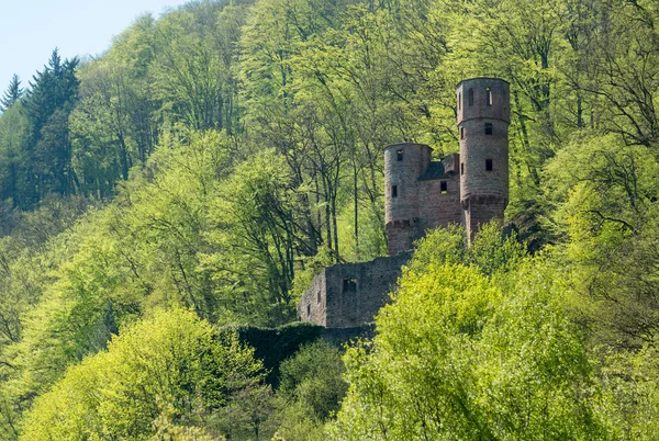 Schwalbennest castle outside Neckarsteinach — 图库照片