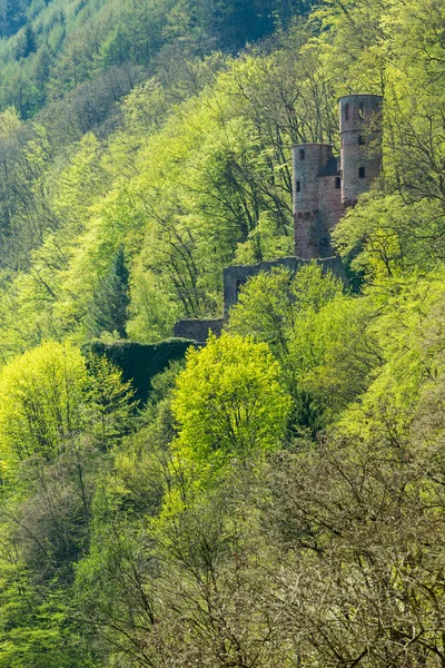 Замок Швальбеннест под Неккарштайнахом — стоковое фото