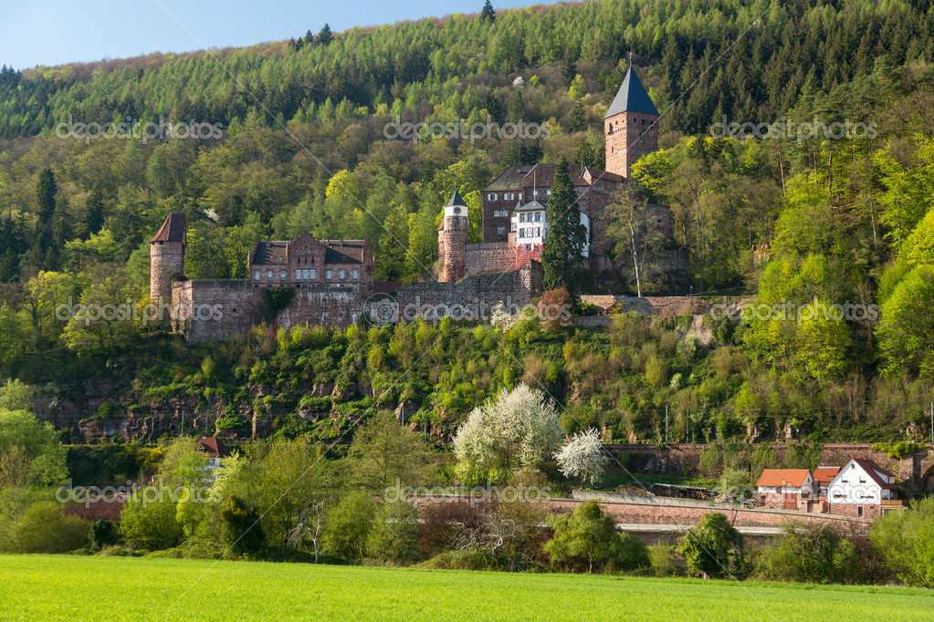 Zwingenberg