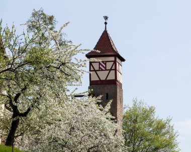Şehir ya da kasaba Bad wimpfen Almanya