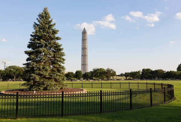 Nationella julgran och monument — Stockfoto