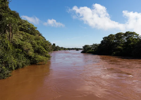Rivier leidt naar iguassu falls — Stockfoto