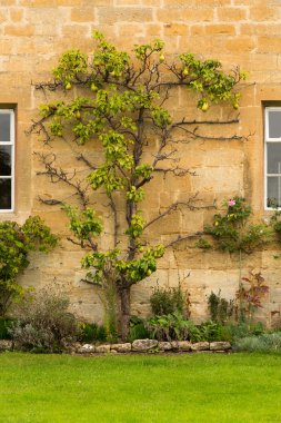 cotswold district of england eski evleri