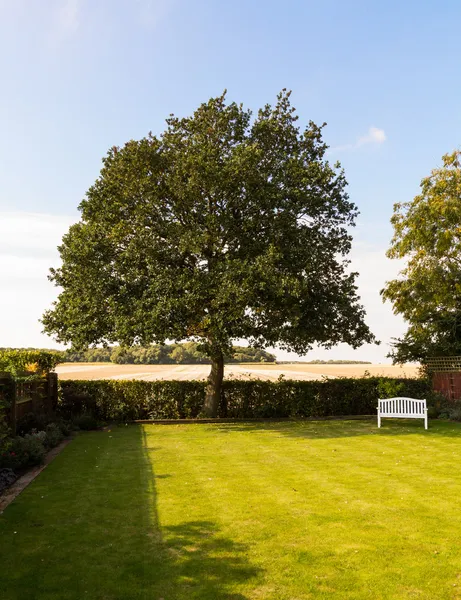 Englischer Rasengarten mit großem Baum — Stockfoto