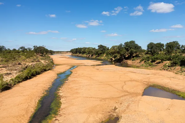 Vyschlé koryto řeky v Krugerově národním parku — Stock fotografie