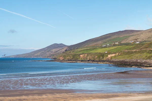 ディングルの近く南アイルランドの西海岸 — ストック写真
