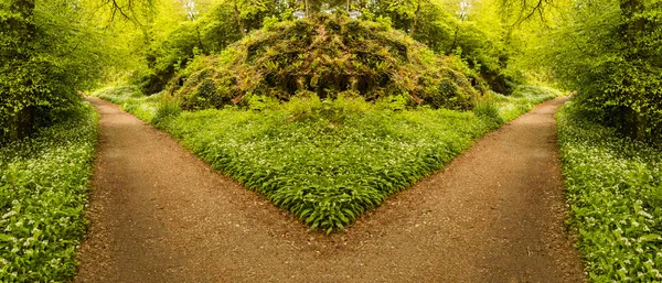 Concept ter illustratie van het maken van een keuze — Stockfoto