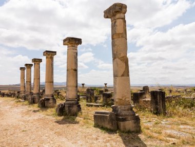 volubilis Fas Kalesi'nde