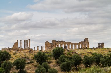 volubilis Fas Kalesi'nde