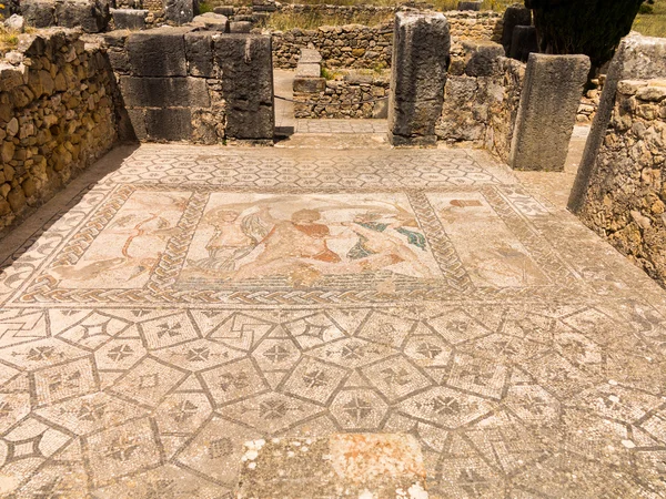 Mozaïeken op volubilis Marokko — Stockfoto