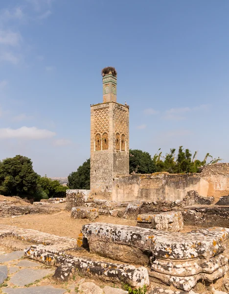 Romeinse ruïnes op chellah Marokko — Stockfoto