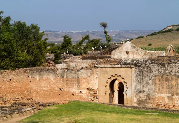 Römische Ruinen bei chellah marocco — Stockfoto