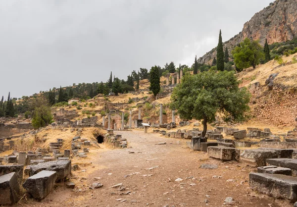 Ruinas del Oráculo de Delfos en Atenas Grecia —  Fotos de Stock