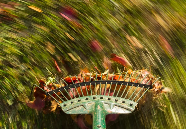Motion blur on green lawn rake leaves — Stock Photo, Image