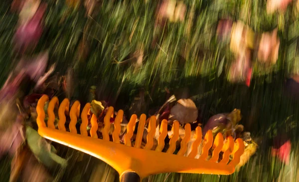 Flou de mouvement sur les feuilles de râteau de pelouse orange — Photo