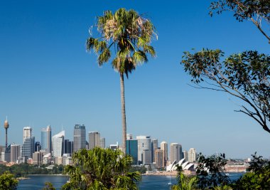 dramatik panoramik fotoğraf Sidney liman