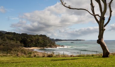 plaj hemen kuzeyinde coffs harbour Avustralya